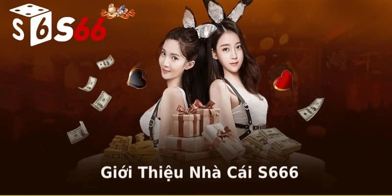 Giới thiệu S66 – thương hiệu đáng tin cậy